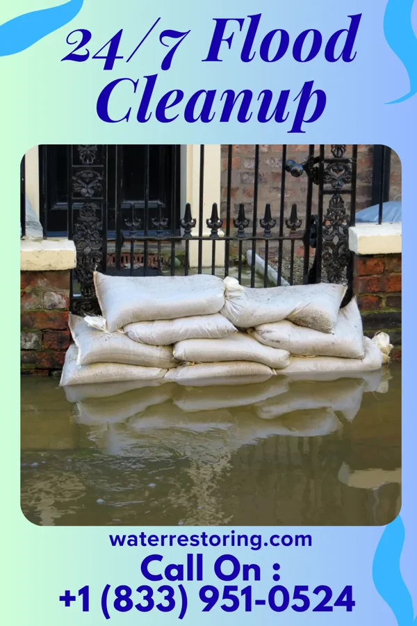 24/7 Flood Cleanup in Ricardo, TX
