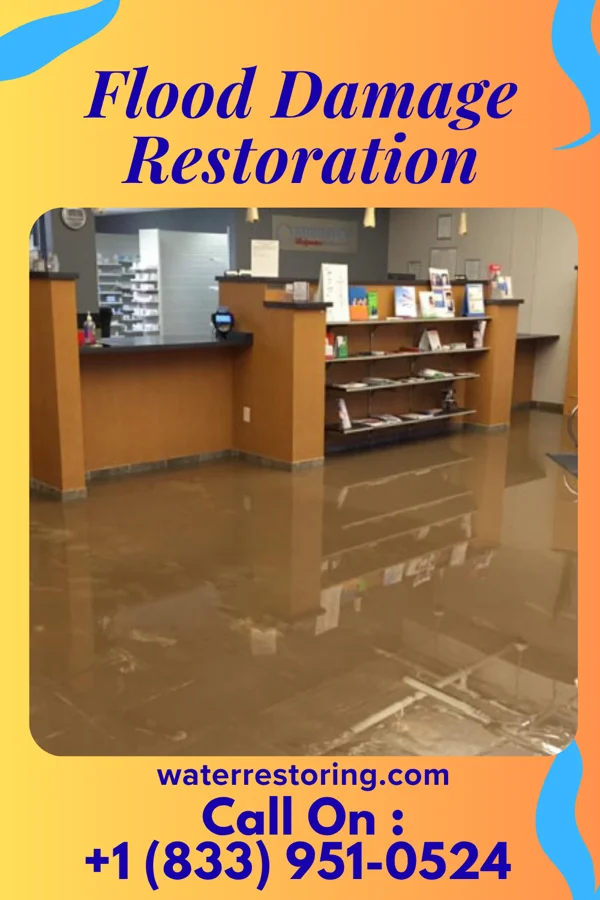 Flood Damage Restoration in Ricardo, TX