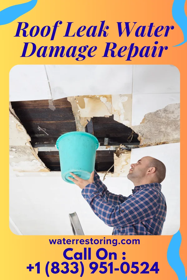 Roof Leak Water Damage Repair in Ricardo, TX